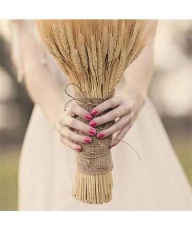 Golden Dried Wheat Sheaves - Dried Wheat Sheaves Bundle - Natural Wheat Stalks Bundle Bouquet Decor Golden Dried Natural Wheat for Vase Farmhouse DIY Home Wedding Valentine's Joberio - Buy Online on GoSupps.com