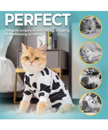 Avont Katzenbody: Optimal Recovery Suit for Cats | Post-Op Castration Spay & Wound Protection - Buy Online on GoSupps.com