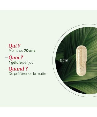 SUPERDIET - RED RICE YEAST - Organic - Vegan - Titled in monacolin K - Made in France - 120 capsules - Buy Online on GoSupps.com