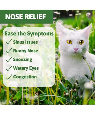 Cat Sneezing Treatment Feline Nasal and Sinus Supplements Homeopathy Powder Formula 100g - Buy Online on GoSupps.com
