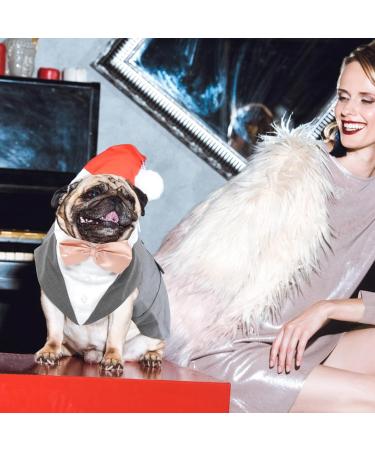 Dog Smoking Suit & Bandana Set - Formal Wedding Party Clothing for Pets | Adjustable Tie Shirt for Birthdays Halloween & Christmas - Gray (L) - Buy Online on GoSupps.com