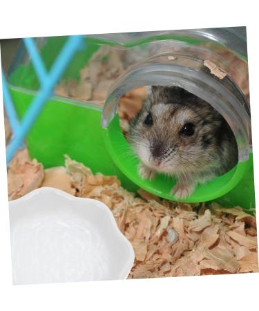 BESPORTBLE 2pcs Hamster Ceramic Bowl Wear- Bowl Mini Feeding Bowl Ceramic Chinchilla Bowl Hedgehog Bowl Ceramic Hamster Feeder Ceramic Food Dish Guinea Bowl Mini Food White Ceramics Ornaments 7X7X2.4CM White - Buy Online on GoSupps.com