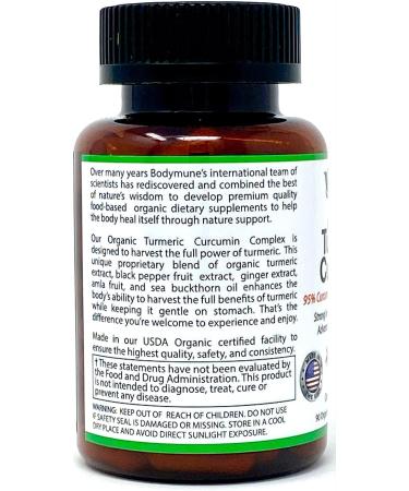 Organic Turmeric Curcumin Supplement with Vegan Omega 3 6 7 & 9 | 90 Capsules for Sensitive Stomach | Enhanced with Black Pepper, Sea Buckthorn Oil, Ginger, and Amla - Buy Online on GoSupps.com