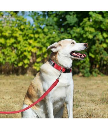 Joytale Personalized Reflective Nylon Dog Collar | Engraved Custom Name Plate | 12 Colors & 5 Sizes | for Puppy Small Medium Large Dogs | Red - Large (1.0 x 16-24) - Buy Online on GoSupps.com