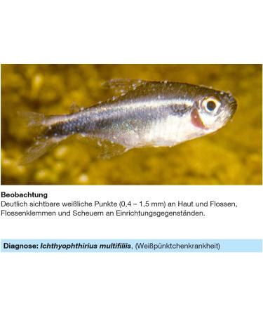 Sera Med Professional Protazole 100 ml - Effective Treatment for Fish Skin Parasites | Aquarium Medicine - Buy Online on GoSupps.com