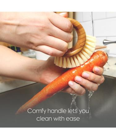 Full Circle The Ring Fruit and Vegetable 2 in 1 Fruit & Vegetable Cleaning Brush  Small (Pack of 1)  White - Buy Online on GoSupps.com