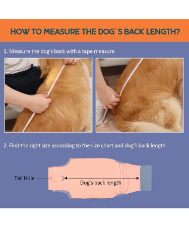 Avont Dog Body Suit - Post-Op Wound Protection for Neutered Males & Female Dogs | Postoperative Recovery Clothing in Pink (4XL) - Buy Online on GoSupps.com