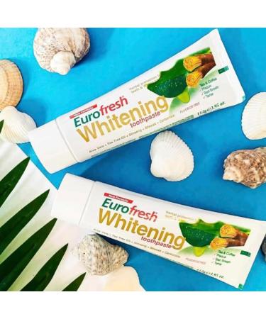 Farmasi Eurofresh Whitening Toothpaste with Miswak Pack of 4 Herbal Toothpaste for Daily Oral Hygiene Gentle Enamel Polish Natural Oral Care Formula 112g/3.95oz - Buy Online on GoSupps.com