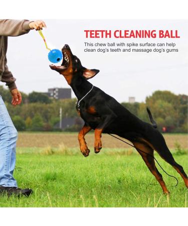Ball On Rope Dog Toy Heavy Duty Pet Chew Rope Pimpled Ball Interactive Dog Pull & Tug Toy Studded Ball Tugger For All Dog Puppy Essentials Pet Accessories 40cm X 6.5cm Assorted Colours (Pack Of 1) - Buy Online on GoSupps.com