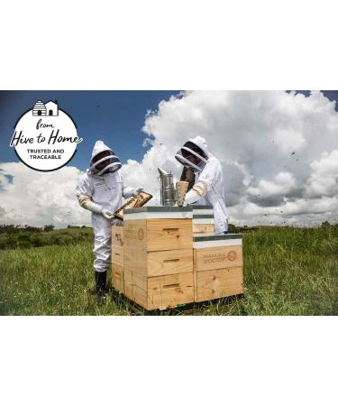 Manuka Doctor Monofloral MGO 525+ Manuka Honey 8.75 oz (250g) - Pure & Natural - Buy Online on GoSupps.com