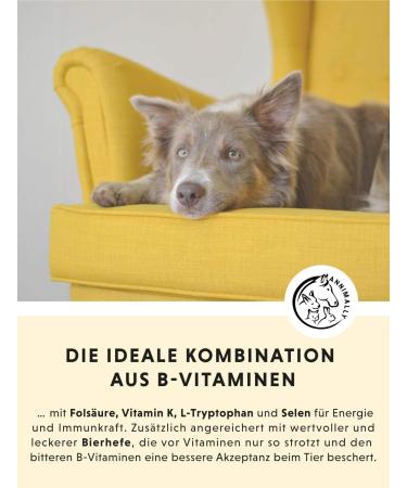 Premium Vitamin B Complex for Dogs & Cats - 120 High-Dose Tablets for 4 Months | Essential B Vitamins & Selenium Supplement - Buy Online on GoSupps.com