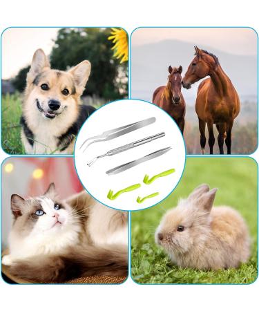 Kiiwah 6pcs Tick Remover Tool Set for Humans and Pets - Stainless Steel Tick Tweezers and Plastic Tick Hook in Storage Box - Buy Online on GoSupps.com