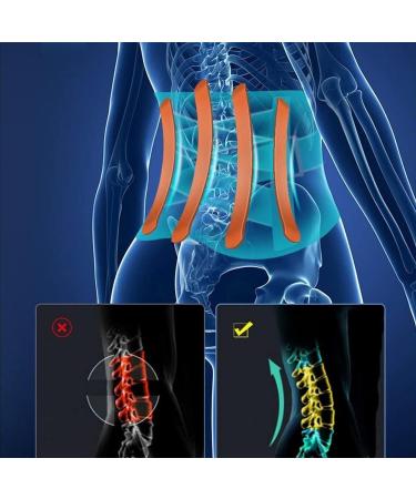 Adjustable Waist Support Belt | Extra Wide Back Brace for Pain Relief | Lumbar Support for Herniated Disc Sciatica & Scoliosis - Size Large - Buy Online on GoSupps.com