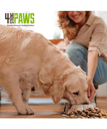 4 STRONG PAWS Chicken and Salmon Dry Puppy Food - 28 Pound High Protein Puppy Food - Grain Inclusive Dog Food for Healthy Dog Bones Chicken and Salmon Grain Inclusive 12.7 kg (Pack of 1) - Buy Online on GoSupps.com
