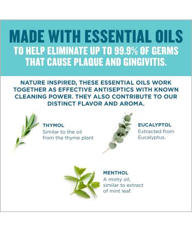 Listerine Zero Antiseptic Mouthwash 1.5 Litres Cool Mint (1.5L) Mouthwash - Buy Online on GoSupps.com