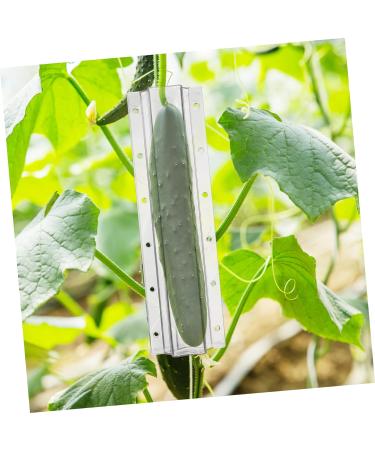 Sosoport 20 Pcs Shaped Growth Mold Cookie Stencils Candy Molds Growing Molds for Garden Cookie Molds Cucumber Shaping Vessel Tools Garnish Tools Decor Cucumber Mold Pumpkin Fruit Plastic As Shownx5pcs mediumx5pcs - Buy Online on GoSupps.com
