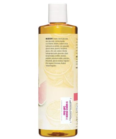 Burt's Bees Citrus and Ginger Body Wash 12 oz - Pack of 3 | Energizing Formula | 3-Pack 12 fl oz Bottles - Buy Online on GoSupps.com