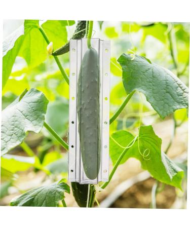 4pcs Shaped Growth Mold Fruit Molds Cucumber Shaping Heart Fruit Growth Mold Pumpkin Molds for Cucumber Molds for Garden Cookie Decorating Tools Cucumbers Plastic Shaper Star Shape - Buy Online on GoSupps.com
