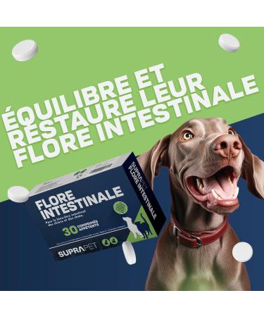 Suprapet Intestinal Flora Dogs and Cats 30 tablets - Natural complementary food with lactic ferments probiotics Vitamin C for the intestine bacterial flora and immune defenses - Buy Online on GoSupps.com