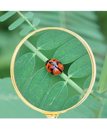 IOOOFU 6X Magnifying Glass Eye-Loupe Magnifier Portable Handheld Magnifying Lens for Gems Jewelry Coins Inspection Science 58mm Zinc- Alloy Glass Imitation Jade- - Buy Online on GoSupps.com
