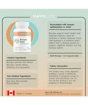 HAVN Life Bacopa Brain - Bacopa Monnieri Capsules Memory Support - Supplement for Cognitive Function Support - Non-GMO 60 Vegan Capsules - Buy Online on GoSupps.com