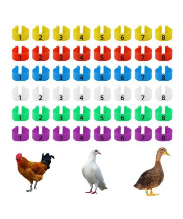 Cywvynyt 48 chicken Legrings Multi -colored chicken identification Leg straps numbered clip on poultry leg rings for Gamefowl Truthahn duck Gans Guinea (20mm) - Buy Online on GoSupps.com