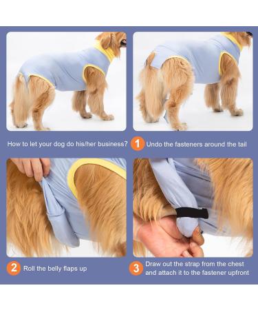 Avont Dog Recovery Suit - Postoperative Wound Protection for Neutered Males & Bitches - Blue (3XS) - Prevents Leak & Ensures Comfort - Buy Online on GoSupps.com