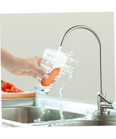Sponges Washing Up Bottle Cleaning Beans 3Pcs Reusable Bottle Cleaning Beans Pea-Shaped Water Bottle Cleaner Sponges for Bottle Internal Cleaning Orange - Buy Online on GoSupps.com