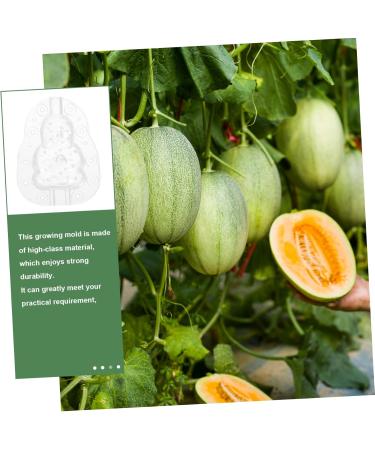 Milisten Gardening Tools 6 pcs Watermelon Mould Tools Clear Supplies Growing Garden Vegetable Multifunction Moldvegetable Transparentx2pcs 9x8cmx2pcs - Buy Online on GoSupps.com