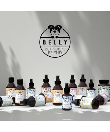 Buy Belly Vegan Dog Shampoo & Conditioner - 250ml | Guava & Cucumber - Long Hair & Odor Control for Dogs & Puppies - Buy Online on GoSupps.com