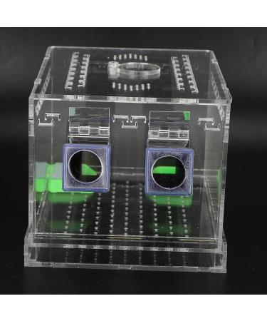 Cricket Pen Acrylic Cricket Feeding Box with Feces Layer Keep Cricket Feeding Neat and Tidy Convenient for Cricket and Pet(L) - Buy Online on GoSupps.com