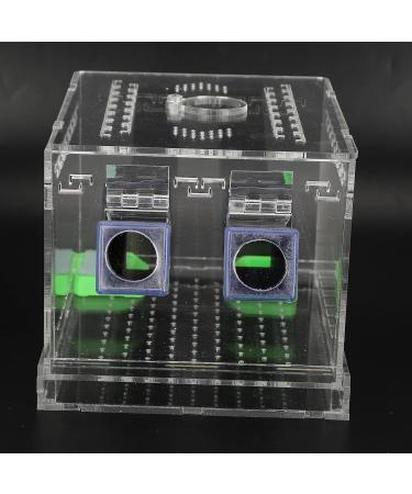 Cricket Keeper and Sturdy Cricket Keeper with Tubes for Home for Office (Large Size) - Buy Online on GoSupps.com