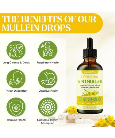 Mullein Drops For Lungs Liposomal 14 In 1 Mullein Leaf Extract For Lungs Mullein Drops with Elderberry Chlorophyll Thyme - for Lung Cleanse Detox Respiratory Immune Health 3 Fl 0Z Mint Flavor 3 Fl Oz (Pack of 1) - Buy Online on GoSupps.com