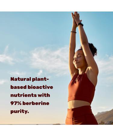 DEAL SUPPLEMENT Berberine Max Supplement with Turmeric 5 000mg Per Serving 240 Veggie Capsules 97% Pure Berberine HCl 20:1 Turmeric Root Extract Vegetarian Friendly Non-GMO - Buy Online on GoSupps.com