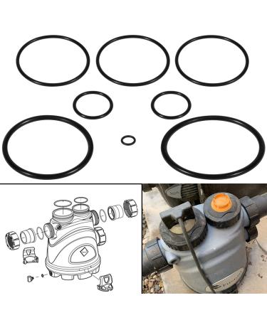 Yoursme R0502500 Water Sanitizer Cleaner Oring Rebuild Kit Fit for Nature2 Fusion Inground Fusion Soft