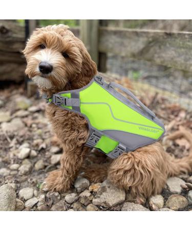 Vivaglory Durable Sporty Dog Security Vest | Comfortable Neoprene Rescue Vest for Medium Dogs (Green M: 53-64cm) - International Shipping - Buy Online on GoSupps.com