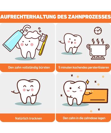 Xianglongy Milk Tooth Fairy Box - Perfect Gift for Kids' Baptism & Birthdays | Tooth Container for Young Girls - Buy Online on GoSupps.com