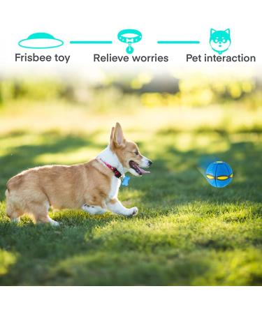 Yeahboom Frisbee Ball for Dogs | Premium Flying Dog Toy - Blue | Ideal Pet Frisbee & Ball Toys for Interactive Play - Buy Online on GoSupps.com