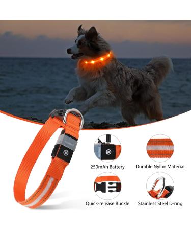 Masbrill Waterproof LED Dog Collar - Luminous Band with 3 Flashing Lights Adjustable Safety for Small Medium and Large Dogs - Orange (M: 38-50cm) - Buy Online on GoSupps.com