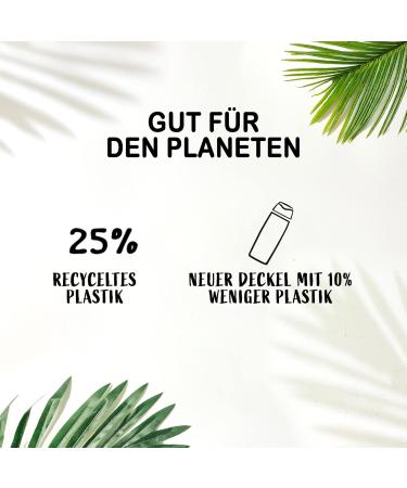 Schwarzkopf Henkel FA Divine Moments Shower Gel 6 x 250 ml 95 ingredients of natural origin send your senses on a wonderful journey and enjoy the velvety scent of wild camellias - Buy Online on GoSupps.com