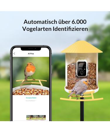 Birdfy Bird Feeder with Camera - AI Detection Video Recording & Solar Powered - Ideal for Wild Bird Feeding - Buy Online on GoSupps.com
