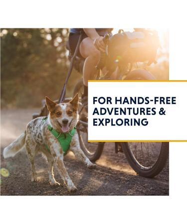 Luffwear Roamer Bungee Dog Leash - 7.3-11ft for Walking Cycling & Hiking - Hands-Free Option in Gray Granite - Buy Online on GoSupps.com