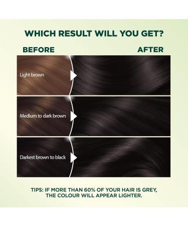 Garnier Nutrisse Ultra Cr me Permanent Hair Dye 100% Grey Coverage Vegan Formula Nourished Hair Long-Lasting Rich Colour 20 Soft Black 1 Application Packaging May Vary Regular Pack (Pack of 1) 20 Soft Black - Buy Online on GoSupps.com