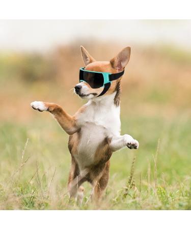 Enjoying Sunglasses for Small Dogs UV Protection Windproof Anti-Fog Dog Goggles Blue Pet Gear - Buy Online on GoSupps.com