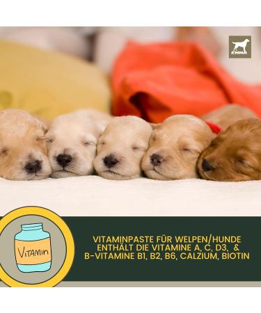 Vitamins for Dogs 1 ml + Paste 15 ml Vitamin B Complex for Dogs Vitamins B + Vitamin ACD Calcium Strengthens Vitality Multivitamins & Minerals Supports the Immune System Skin Coat - Buy Online on GoSupps.com