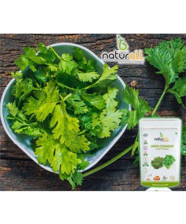 Herbeno Green Coriander Leaf Powder / Dhaniya Leaf Powder -100 GM by B Naturall - Buy Online on GoSupps.com