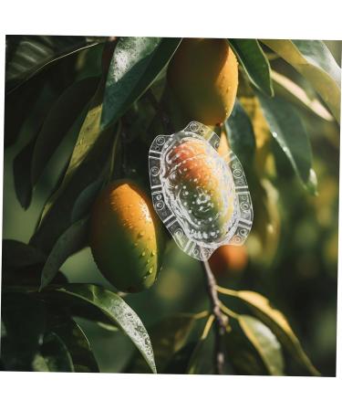 GANAZONO Fruits Forming Mould Vegetable Ginseng Vegetable Shaping Fruit Cucumber Fruits and Vegetables - Buy Online on GoSupps.com
