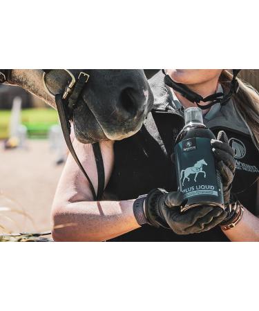 RocwooD Synovium Airplus Liquid Veterinary Horse Respiratory Supplement 940ml - Buy Online on GoSupps.com