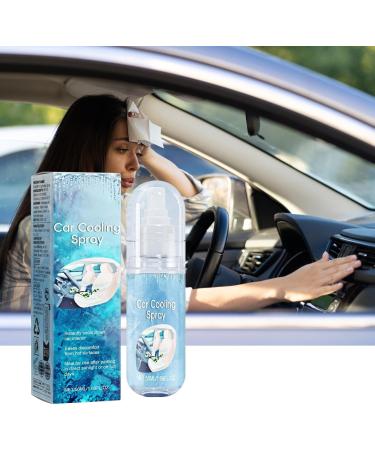 Cooling Mist Spray Car Coolant Spray Fast Cooling Environmentally Friendly Safe Car Interior Cooling Spray For Hot Day Car Seat Air Cooling Spray Hot Day Car Cooler Freezing Spray 50ml - Buy Online on GoSupps.com