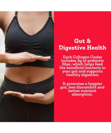 Dr. Kellyann Collagen Cooler Mango | 15g Grass-Fed Collagen Protein per Serving | Keto & Paleo Friendly Non-GMO Dairy-Free | 14 Servings Mango 11.1 Ounce (Pack of 1) - Buy Online on GoSupps.com